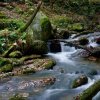 Glendalough Silky Stream [IMG_3042] by Kesara Rathnayake

	Via...