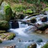 Glendalough Water Stream [IMG_3044] by Kesara Rathnayake

	Via...