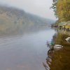 Duck in Glendalough Upper Lake [IMG_3094] by Kesara...