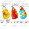 මැතිවරණයෙන් වංචාකාර ප්‍රතිලාභ ලබන්නන්