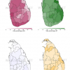 Sri Lanka Presidential Election 2024: Vote Shares of Candidates