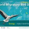 Energy – Make it Bird Friendly..!!