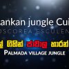 Sri Lankan jungle Cuisine | Jawa Yams | Dioscorea esculenta | ජාවාල