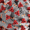 What is the coronavirus?