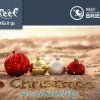 Last Minute Christmas Availability @ Reef Villa & Spa