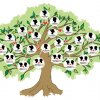 මගේ පවුලේ රුක් සටහන - My Family Tree