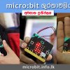 micro:bit ශූරතාවලිය - අවසාන ප්‍රතිඵල