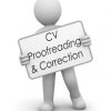 CV Correction Service