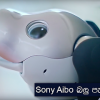 Sony Aibo : ගෙදර සුරතලාත් රොබෝ වෙයිද?