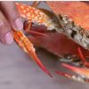 කකුළු අමාත්‍යංශයට ගිය ගොඩයා - How to eat crab in a restaurant