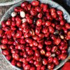 Spice Garden Trails of Sri Lanka – Nutmeg the unheralded spice is actually made up of two spices Nutmeg and Mace