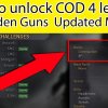 COD4 level 55 and unlock all golden guns