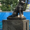 Hachiko with a Kitty