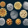  Palynology: Exploring the World of Ancient Pollen