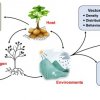 Decoding Plant Disease Cycle : Unveiling Scientific Insights