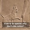 If Civilization Is So Impressive, Why Aren’t Animals Impressed?