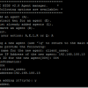 Adding OSSEC client to OSSEC Server