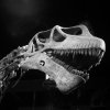 Mamenchisaurus hochuanensis dinosaur Skeleton [IMG_0714] by...