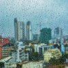 Monsoon City