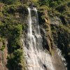 Bambarakanda (The Tallest Waterfall in Sri Lanka)