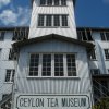 Tea museum- Kandy
