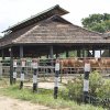 Melsiripura farm- Kurunegala