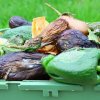 Feeding Our Future: Meeting The Food Waste Challenge