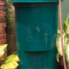 Maintaining a composting bin outside your home